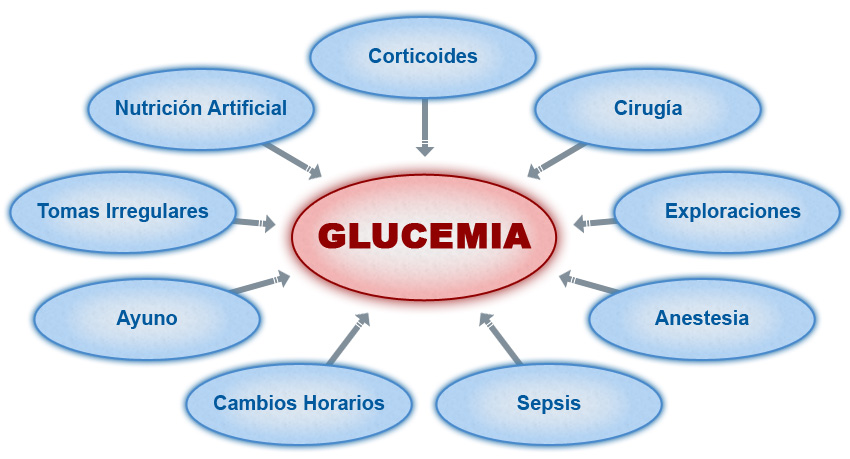 Imagen gráfico dificultades manejo de la DM hospitalaria
