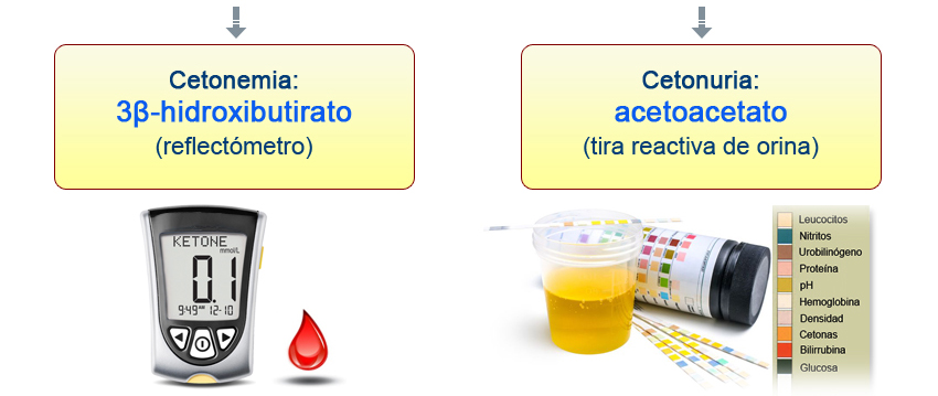 Aproximacion Diagnóstica