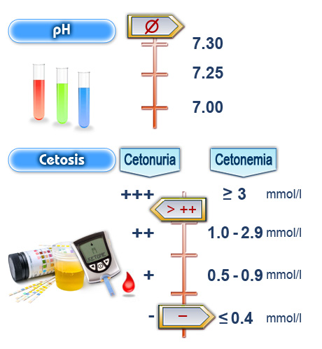 Imagen criterios diagnósticos