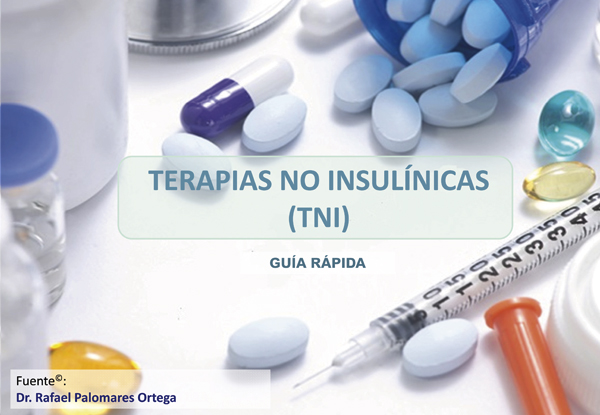 Imagen guía rápida TNI